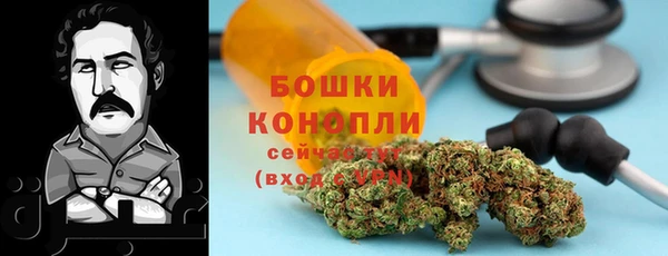 кристаллы Гусь-Хрустальный