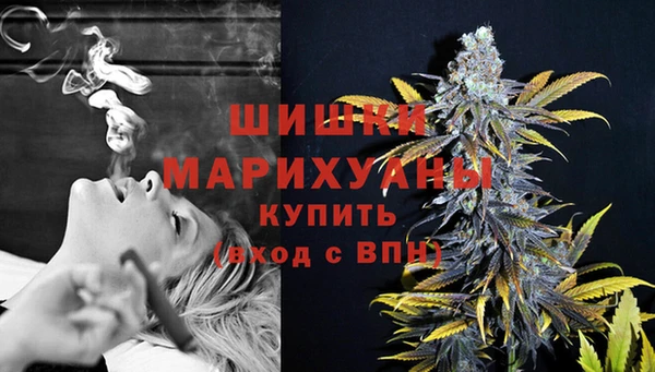 кристаллы Гусь-Хрустальный