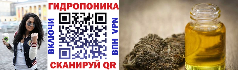 hydra ТОР  цены   Арзамас  это наркотические препараты  Каннабис THC 21% 